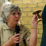 thumbnail_E7154F15AC194350B0EDA9C332EABF22