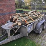 IMG-20201031-WA0014 (1)